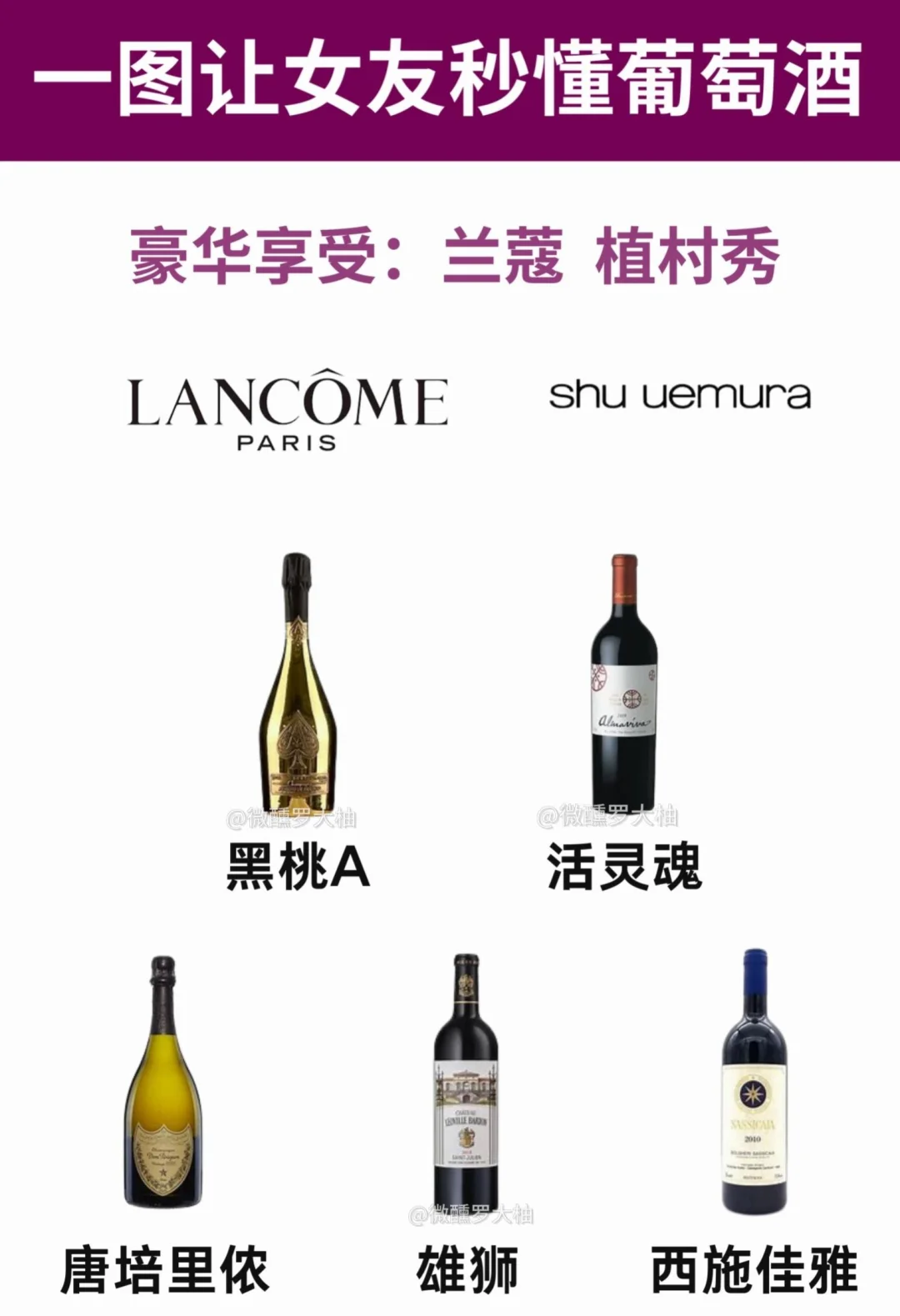 【口红×葡萄酒】让女友速懂葡萄酒～必收藏