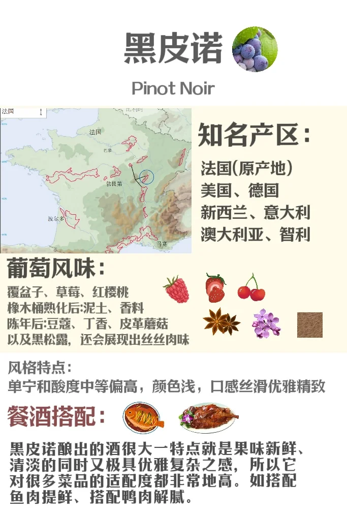 5分钟速通葡萄品种 ?应付99%酒局?