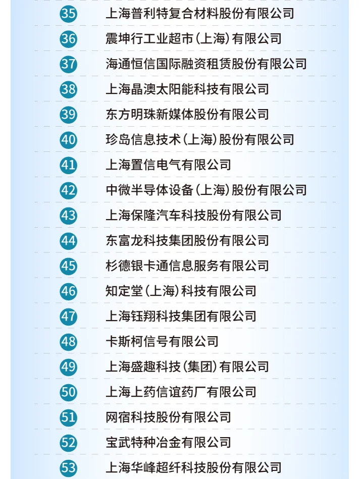 2024上海新兴产业企业百强榜单