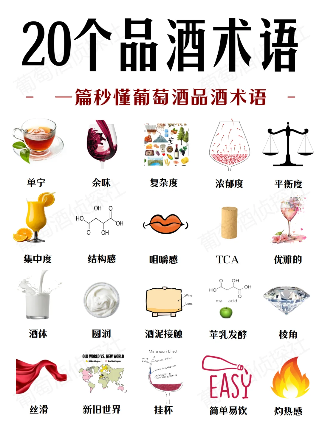 20个品酒专业术语，酒桌上你也可以出口成章