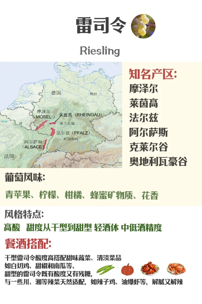 5分钟速通葡萄品种 ?应付99%酒局?