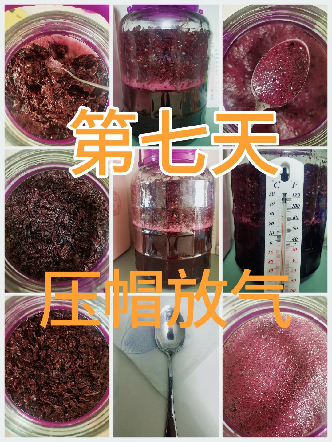 自酿葡萄酒第七天，酒香四溢