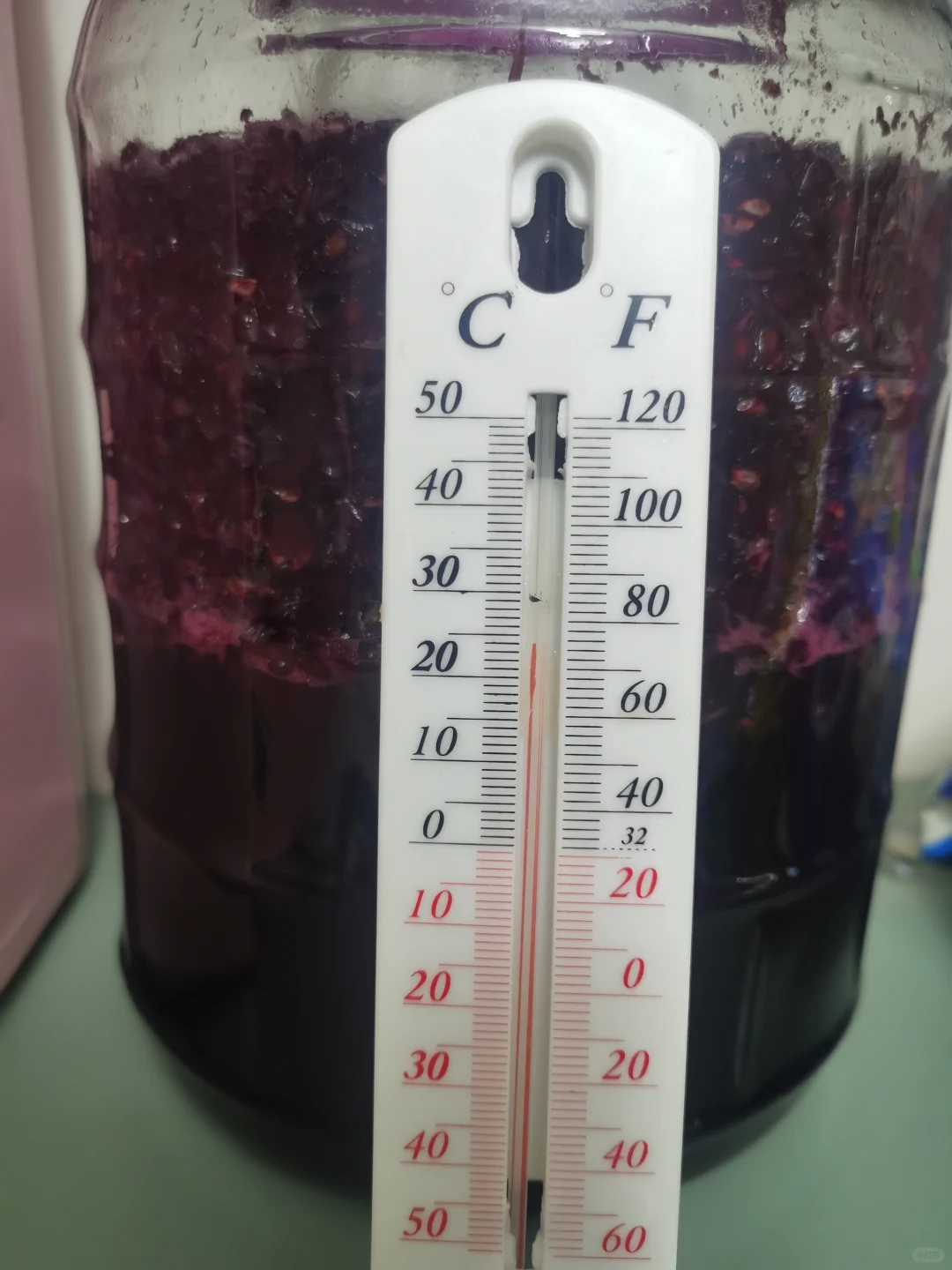 自酿葡萄酒第七天，酒香四溢