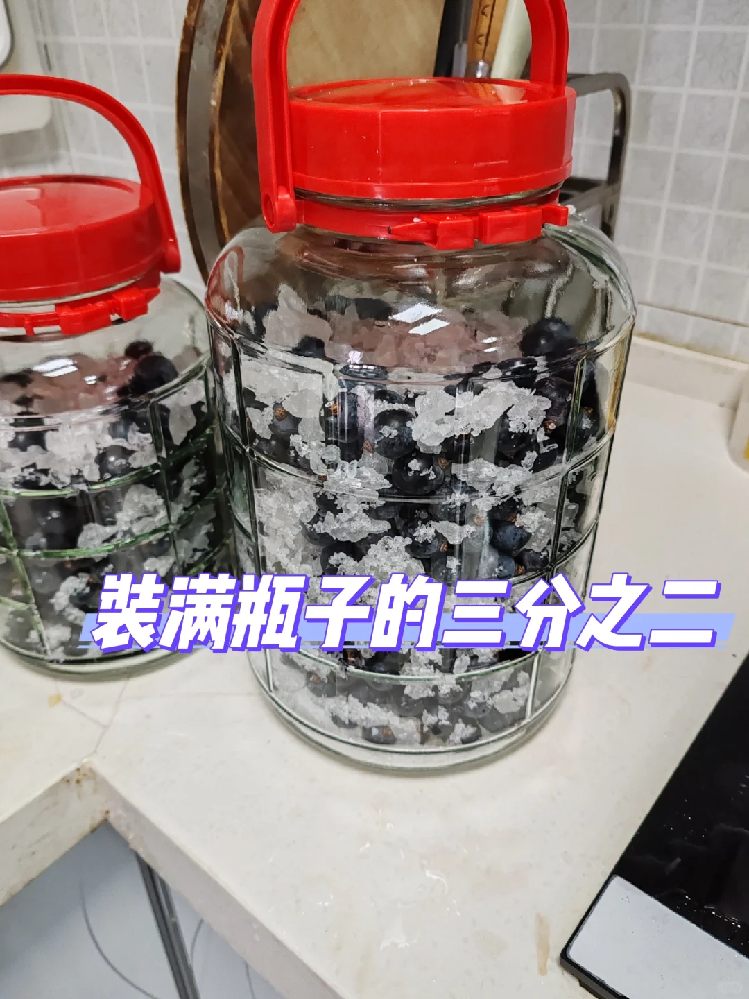 第一次自制葡萄酒