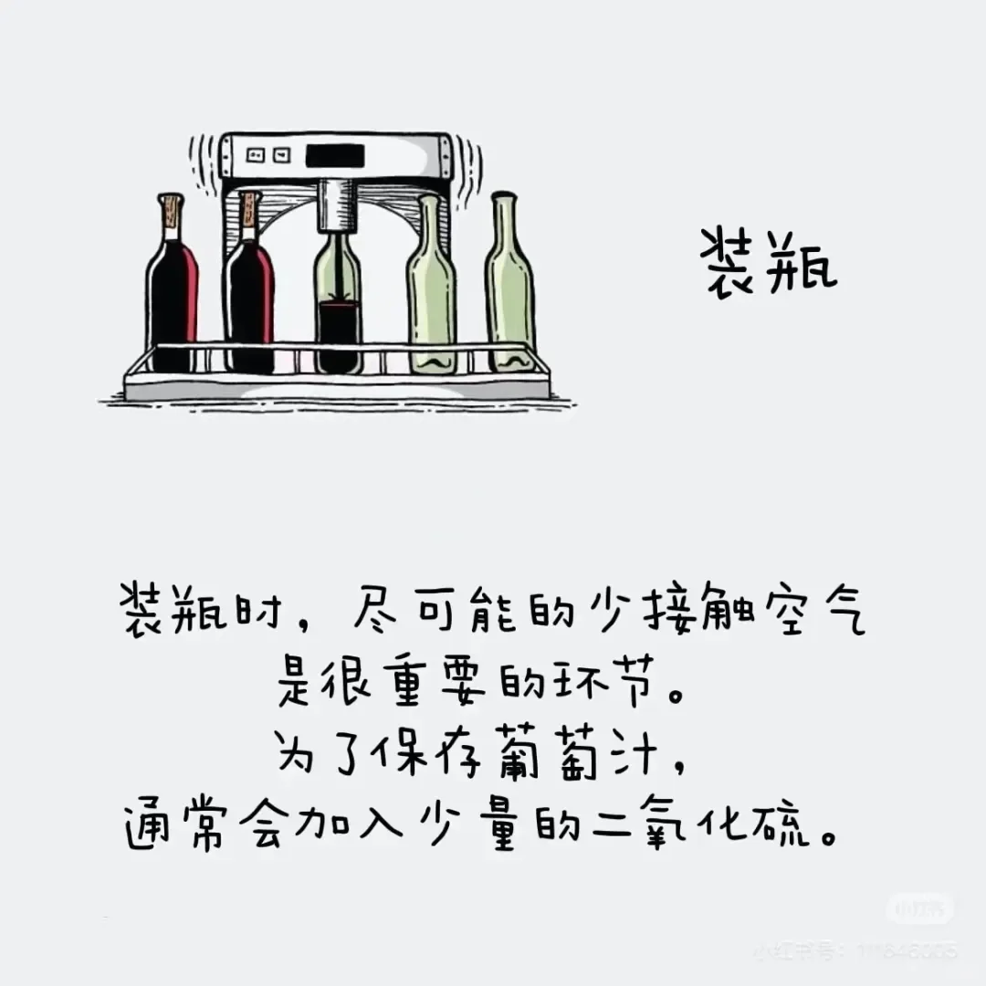 葡萄酒酒精度最高都是在15°左右？（上篇）