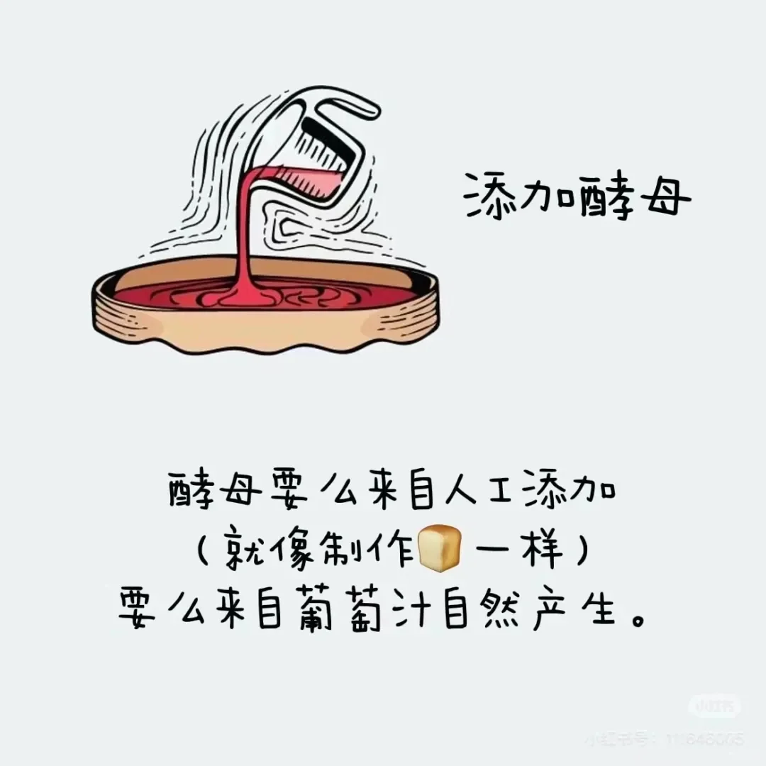葡萄酒酒精度最高都是在15°左右？（上篇）