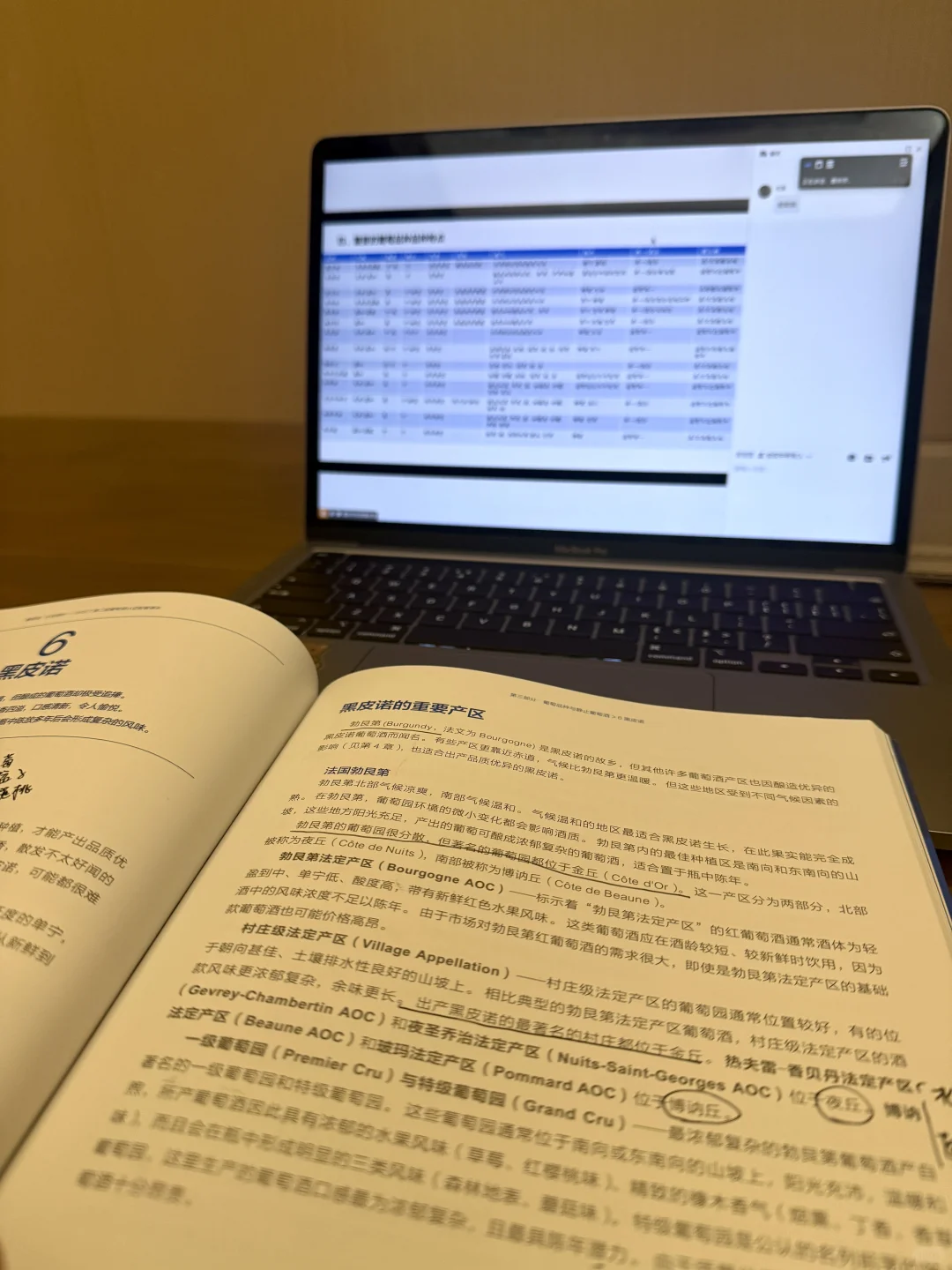 持证喝酒?wset二级拿下