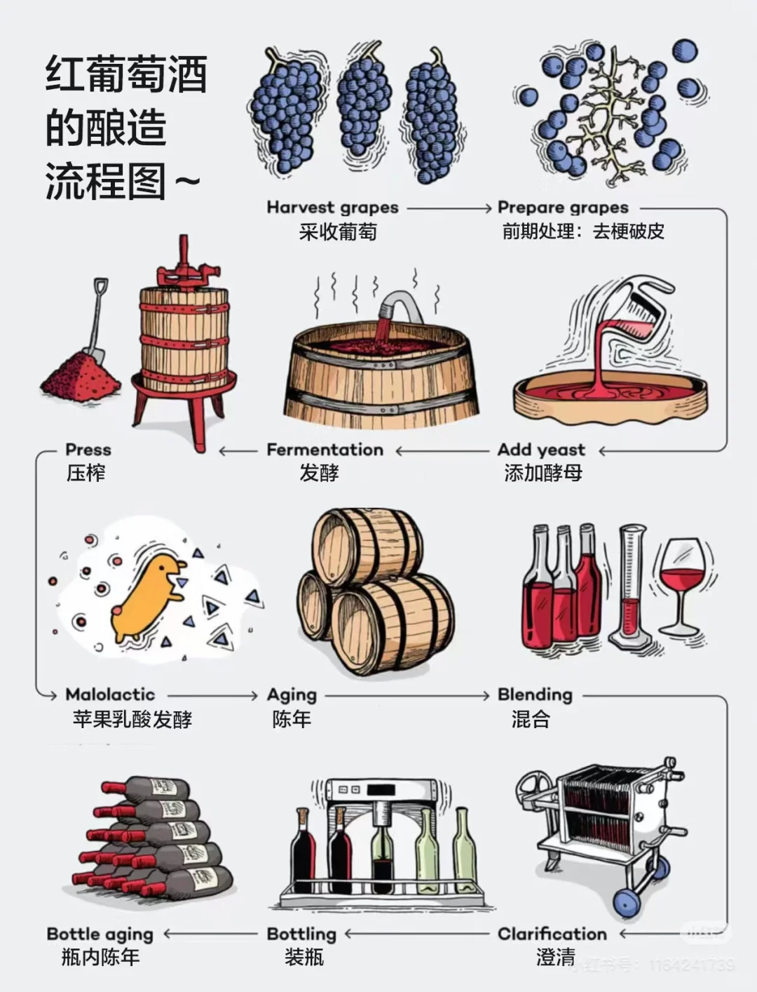 葡萄酒酒精度最高都是在15°左右？（上篇）