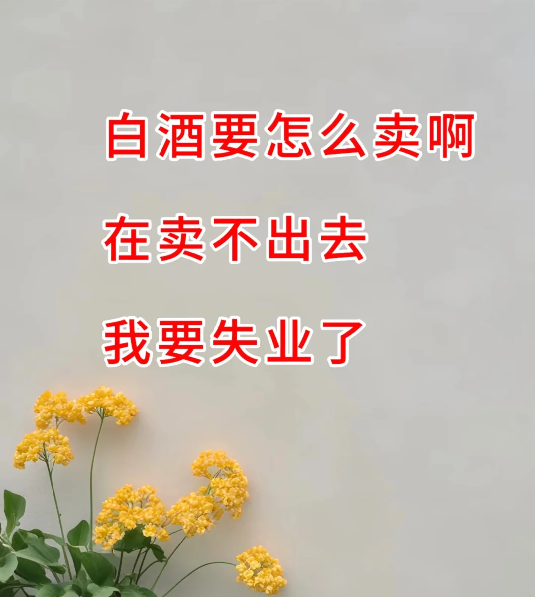 白酒怎么卖啊