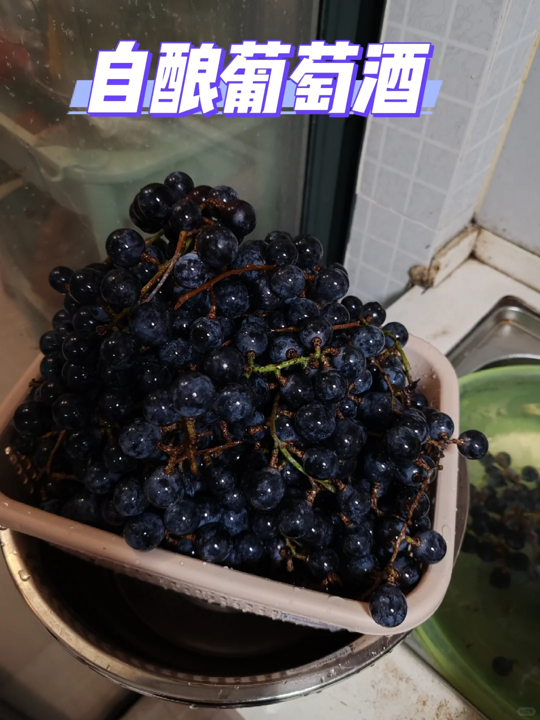 第一次自制葡萄酒