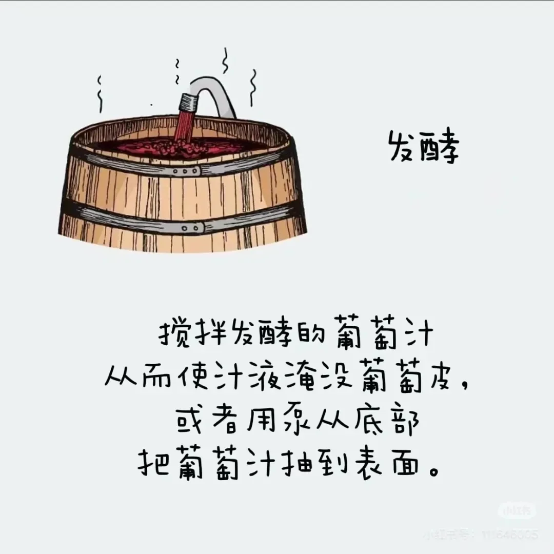 葡萄酒酒精度最高都是在15°左右？（上篇）