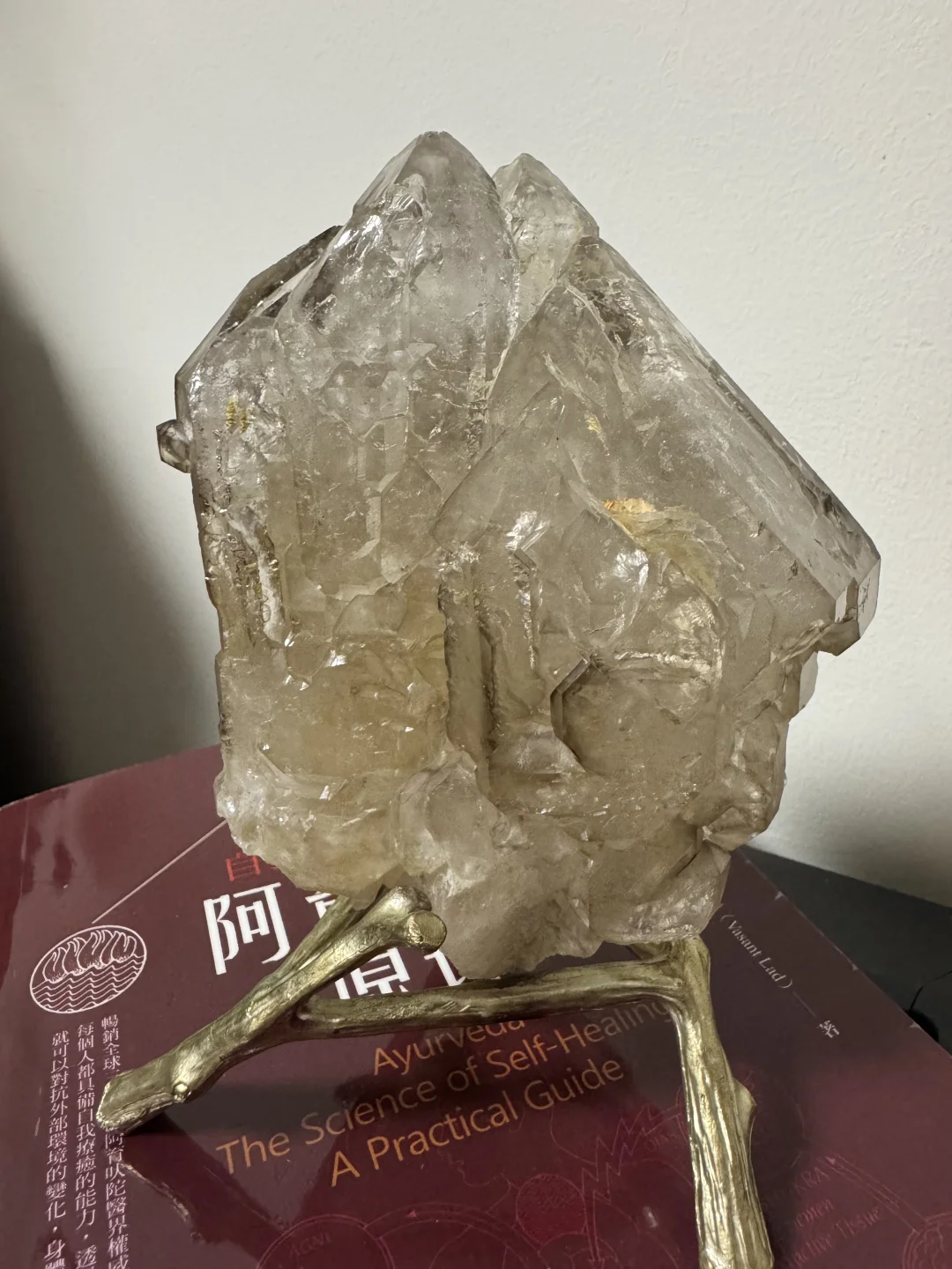 我是酒行业的小仙女?‍♀️
