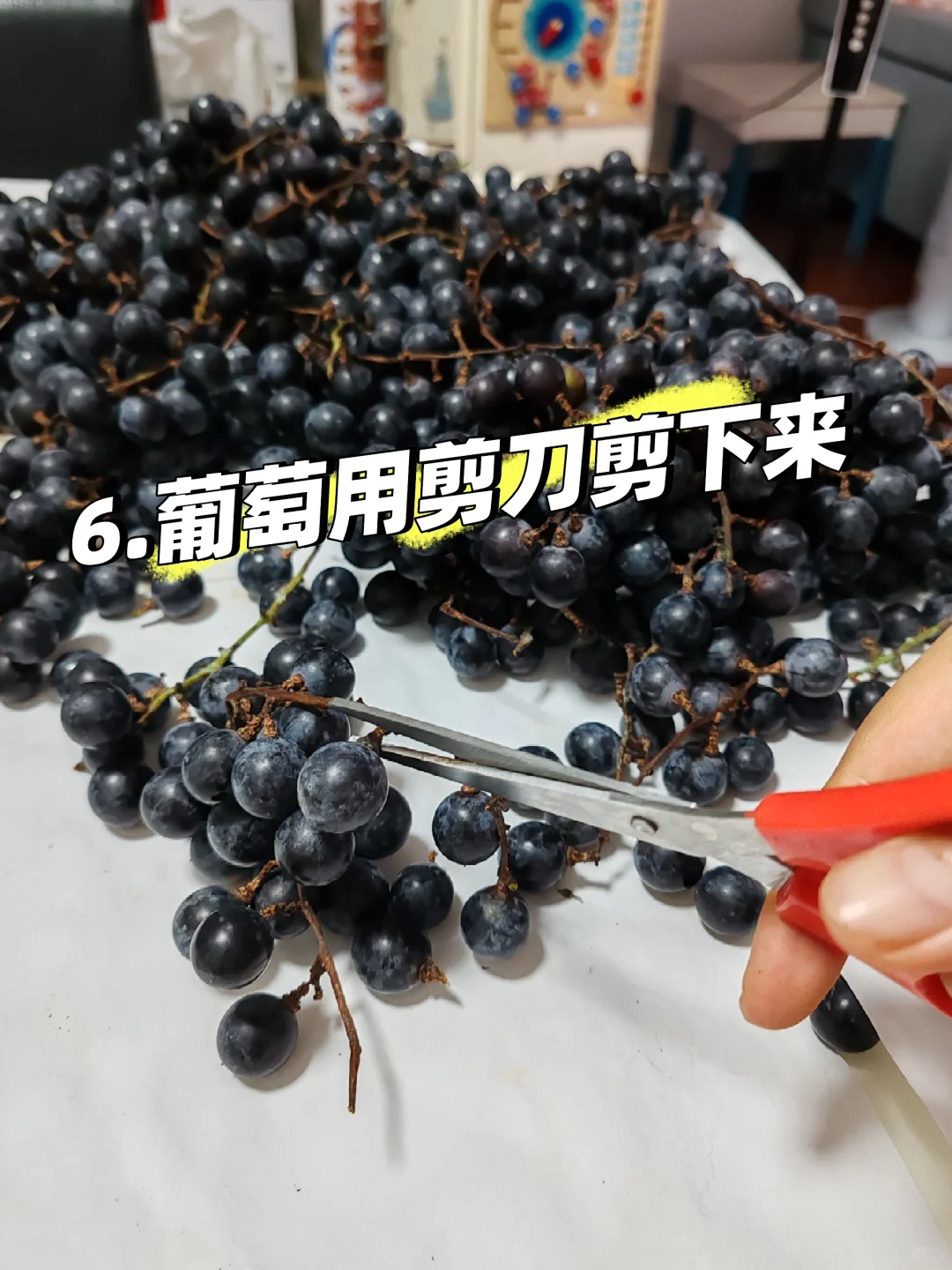 第一次自制葡萄酒