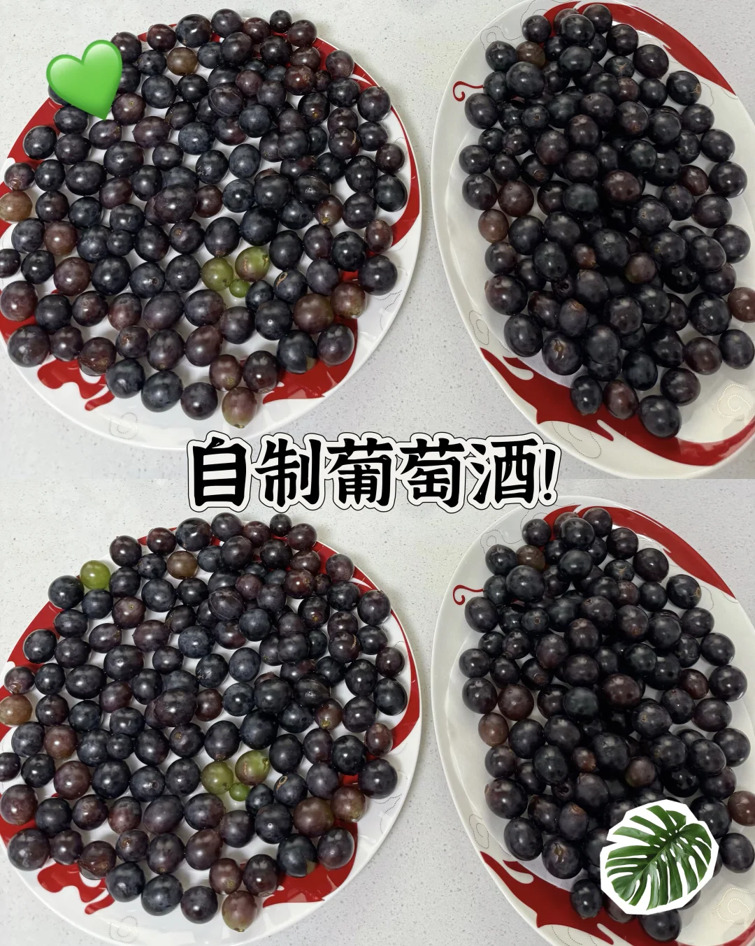 自制葡萄酒?