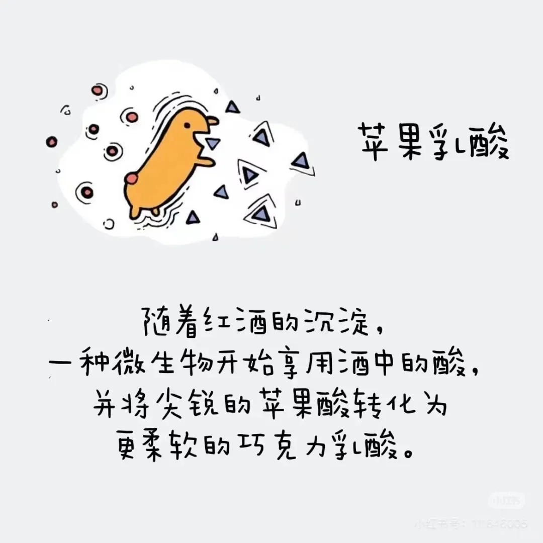 葡萄酒酒精度最高都是在15°左右？（上篇）