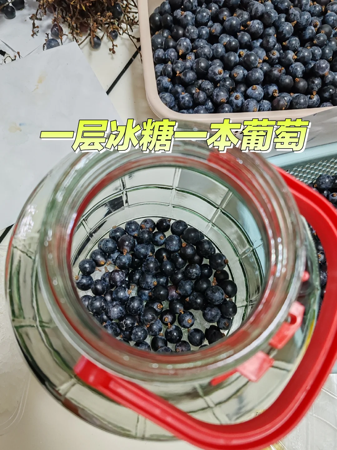 第一次自制葡萄酒