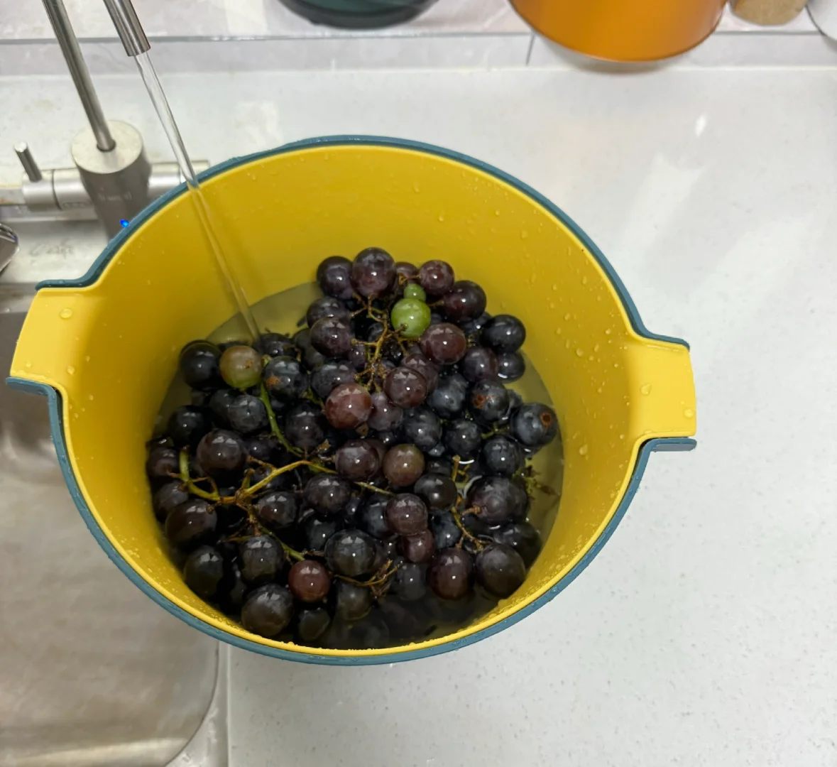 自制葡萄酒?