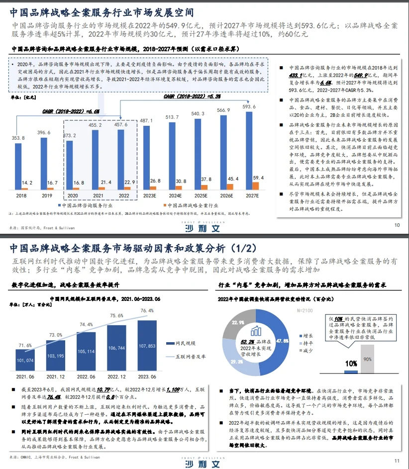 中国的战略公司，都是什么样的存在？