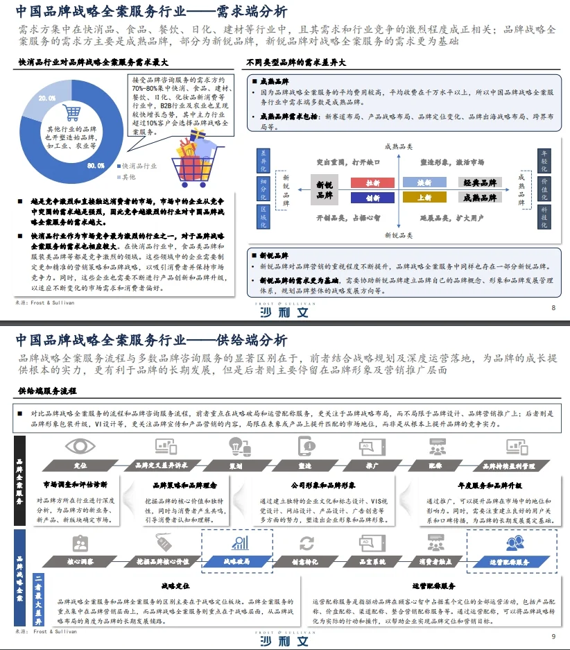 中国的战略公司，都是什么样的存在？