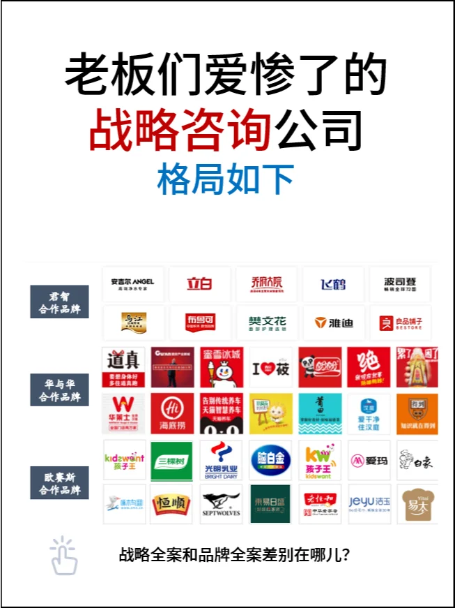 中国的战略公司，都是什么样的存在？