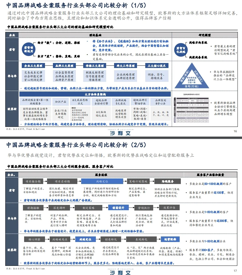 中国的战略公司，都是什么样的存在？