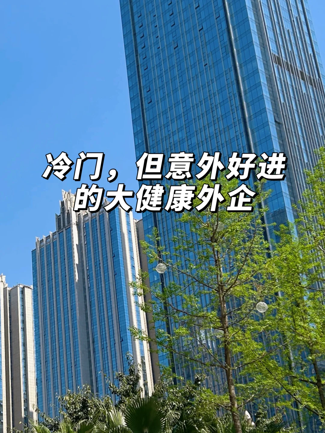 冷门，但是意外好进的大健康外企