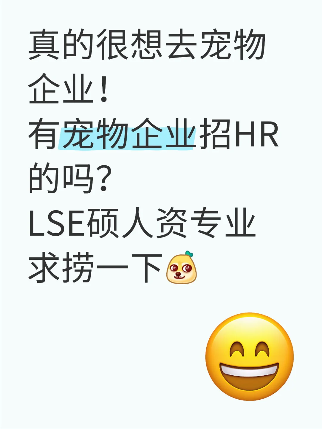 好想去宠物企业
