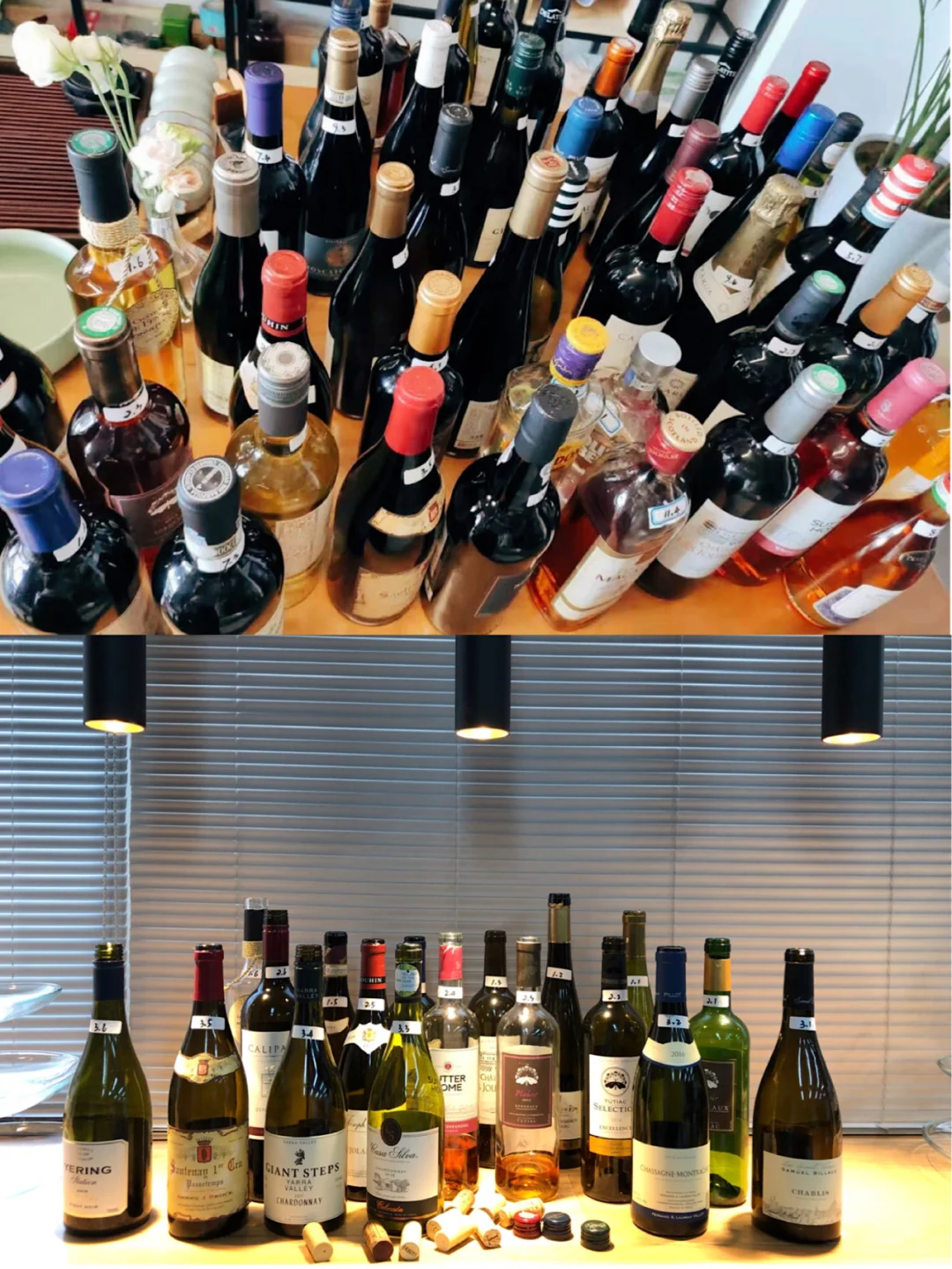 关于葡萄酒——入门分类篇