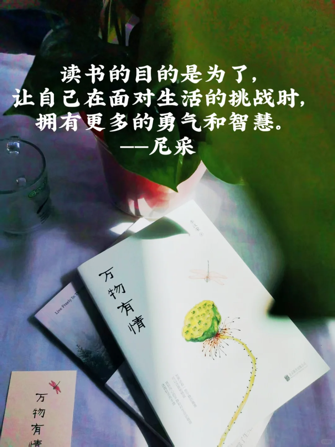 一定要大量看书。