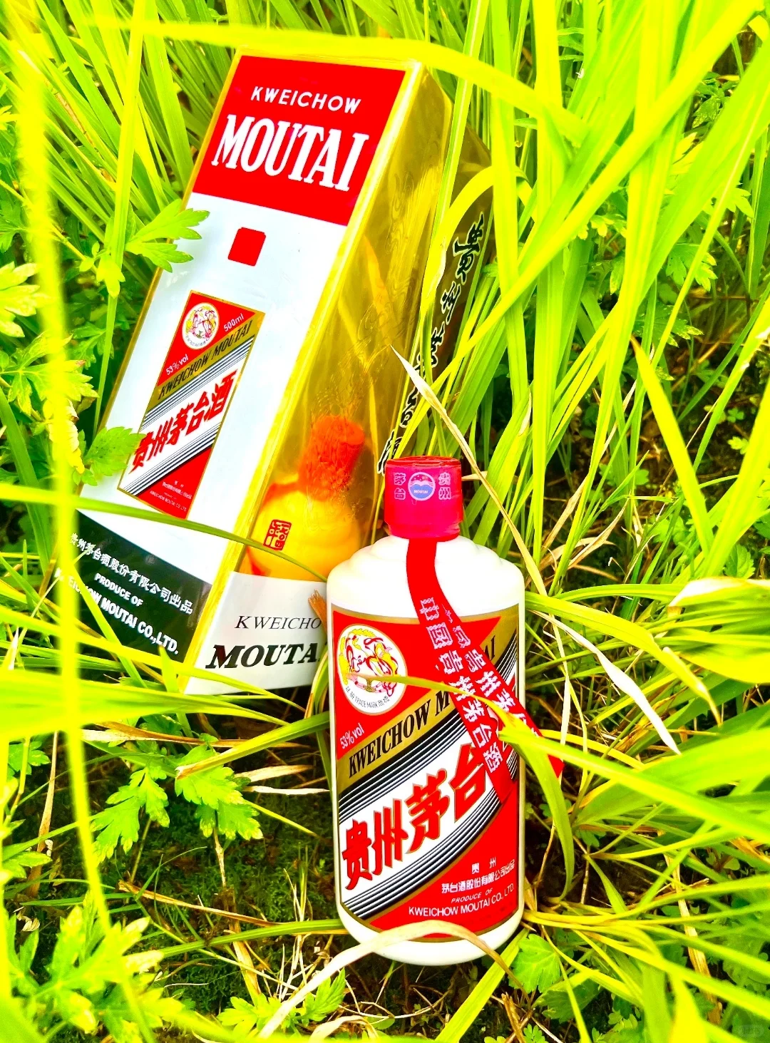 飞天茅台酒和五粮液到底选哪个啊!?