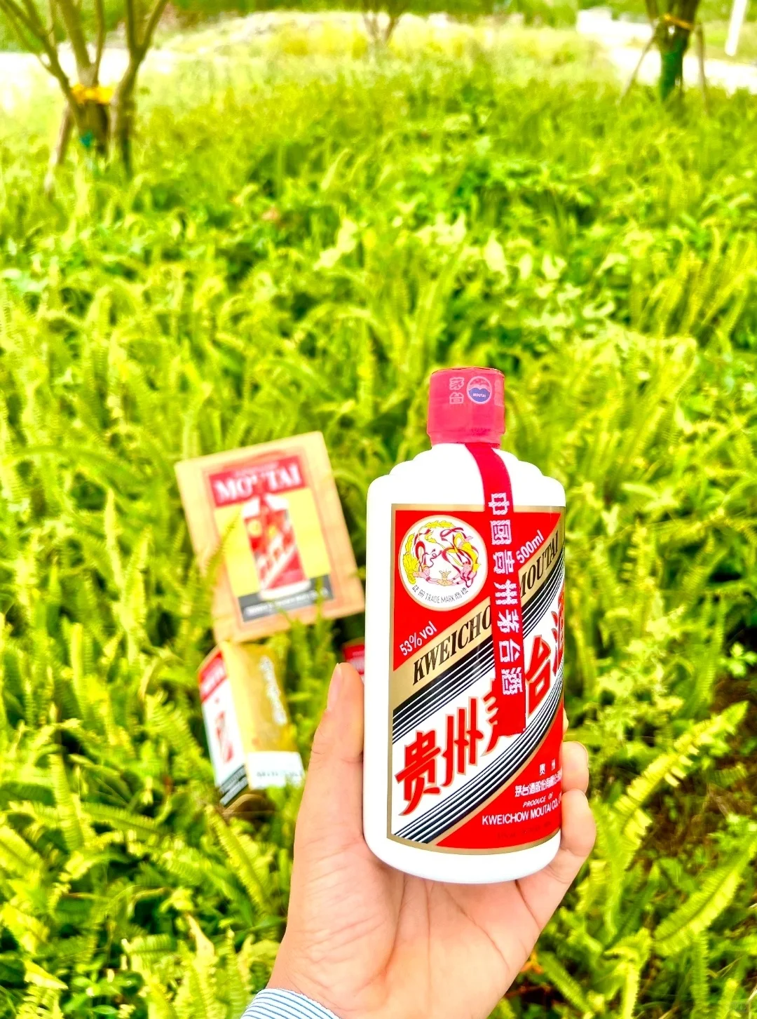 飞天茅台酒和五粮液到底选哪个啊!?