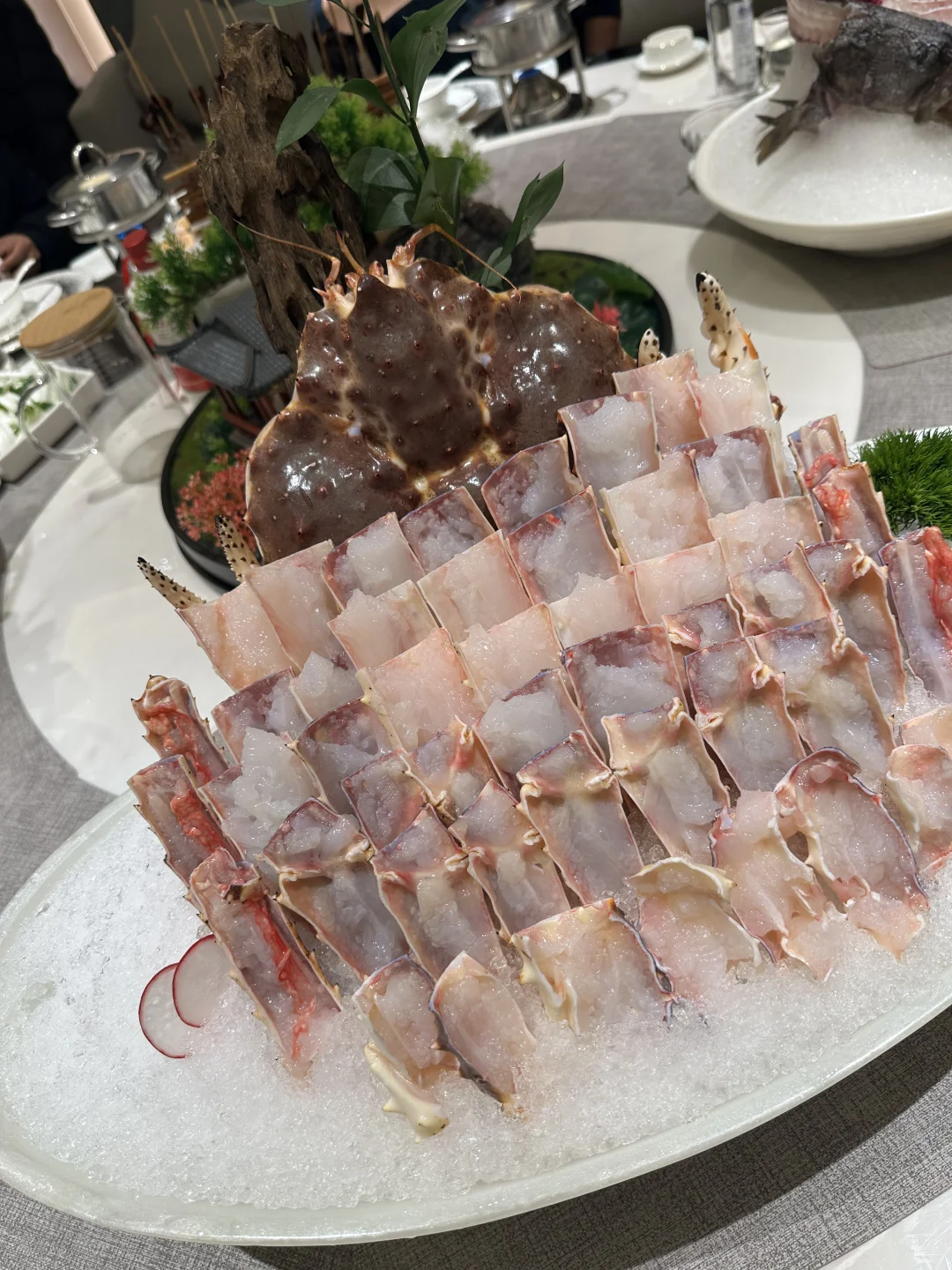 今天开一瓶08年一瓶09年茅台喝下?