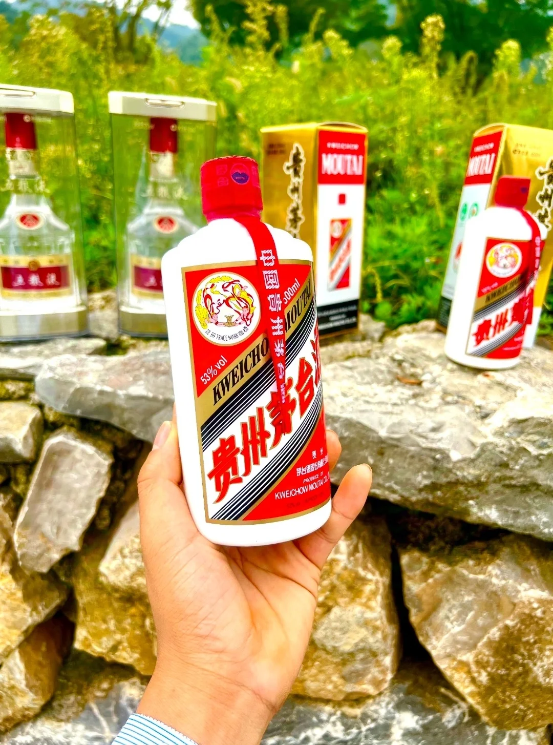 飞天茅台酒和五粮液到底选哪个啊!?