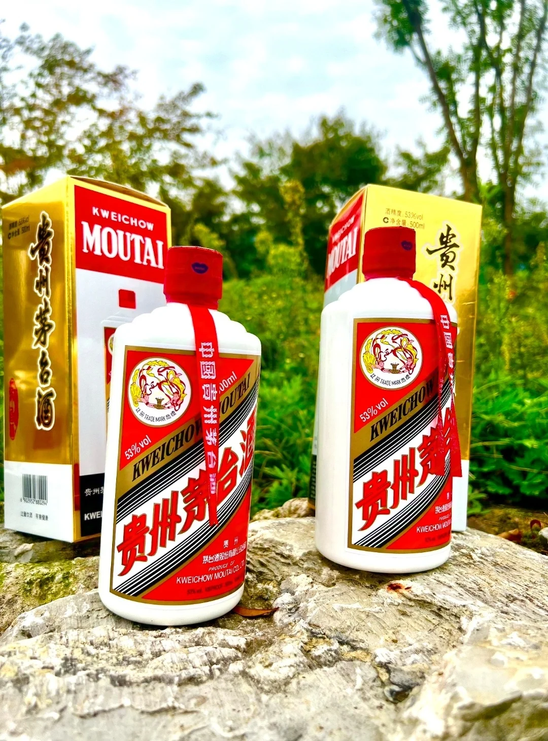 飞天茅台酒和五粮液到底选哪个啊!?
