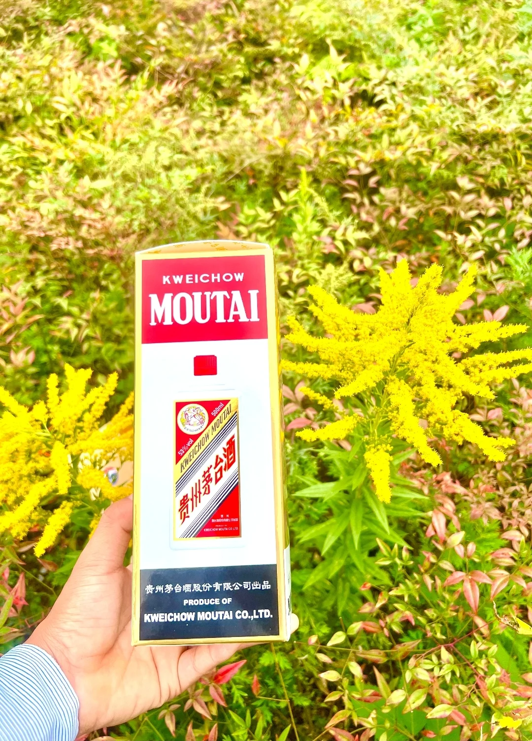 飞天茅台酒和五粮液到底选哪个啊!?