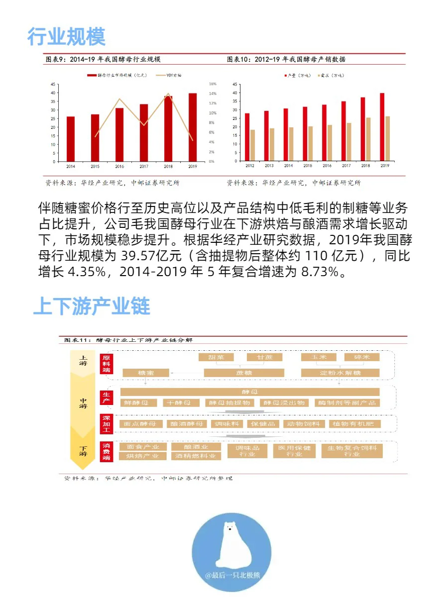 全宇宙最好的酵母公司