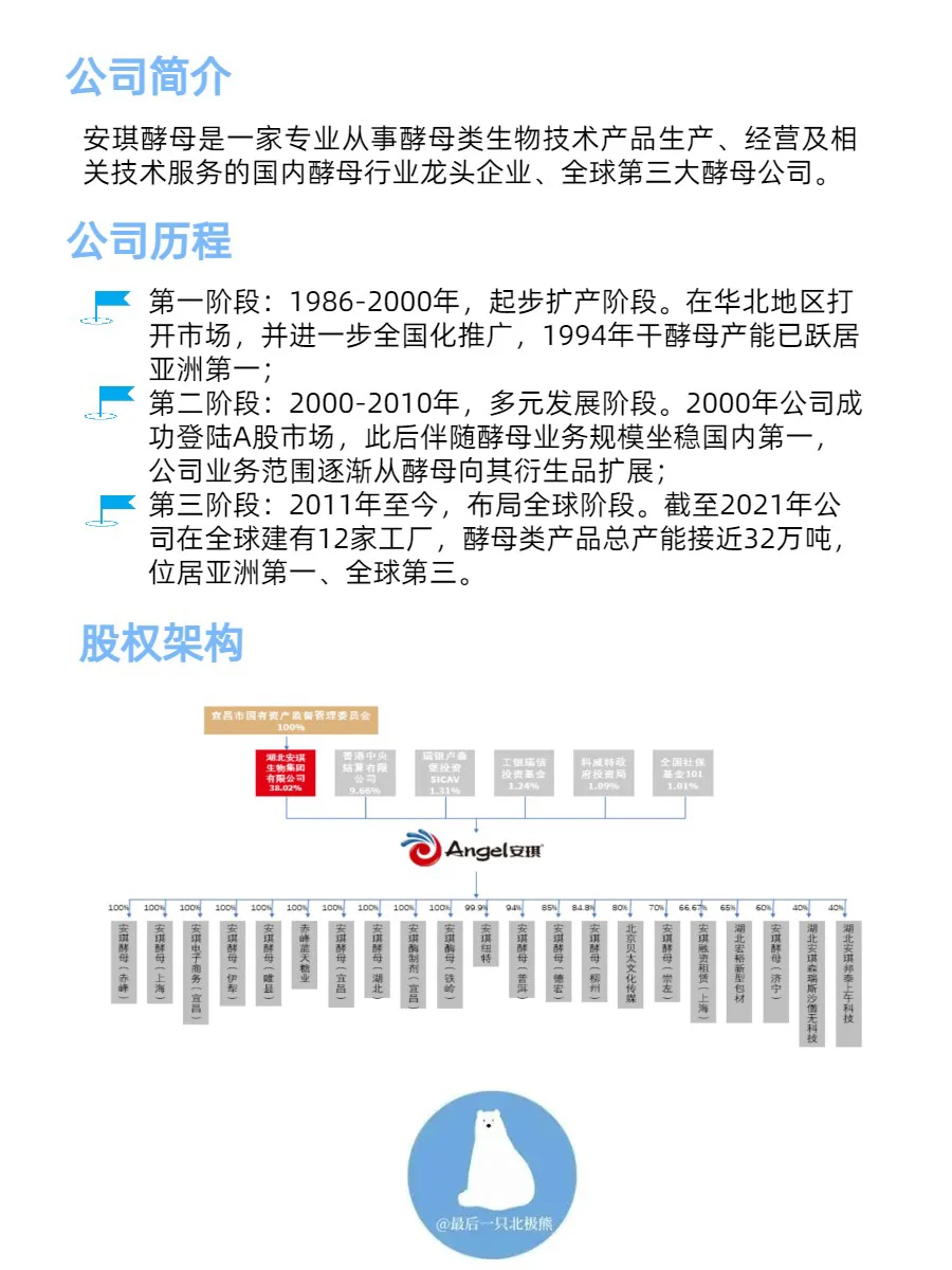 全宇宙最好的酵母公司