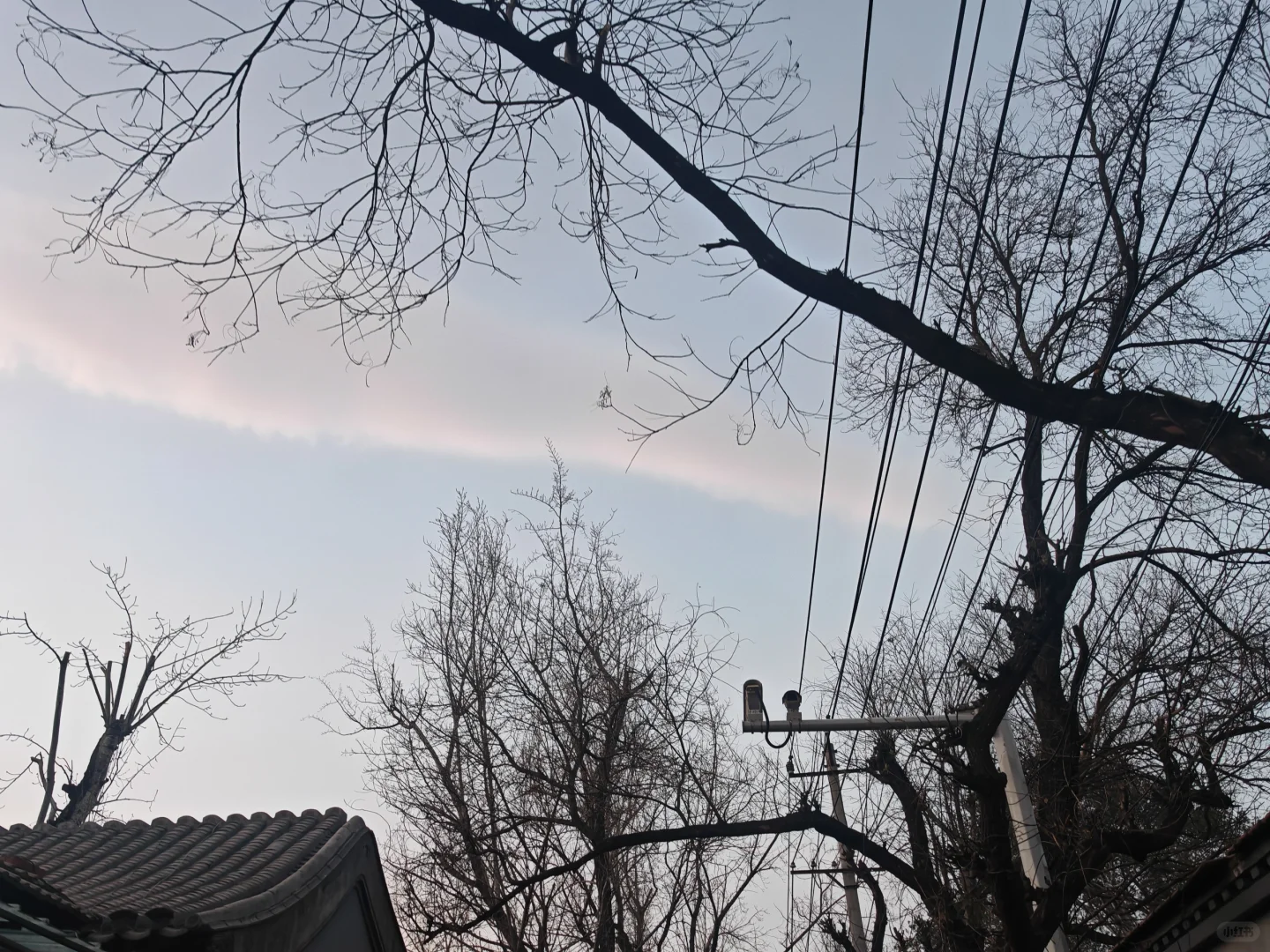 双碳工作日常：碳达峰规划项目应该是没了
