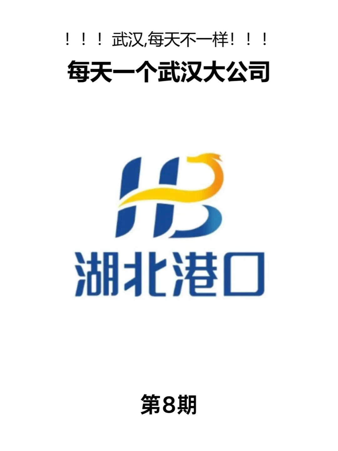 一天一个武汉企业！！！
