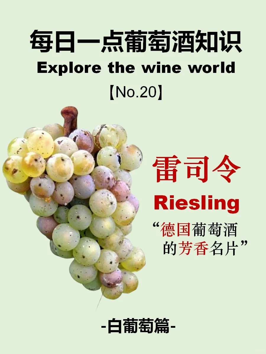 每天懂点葡萄酒 | 雷司令Riesling