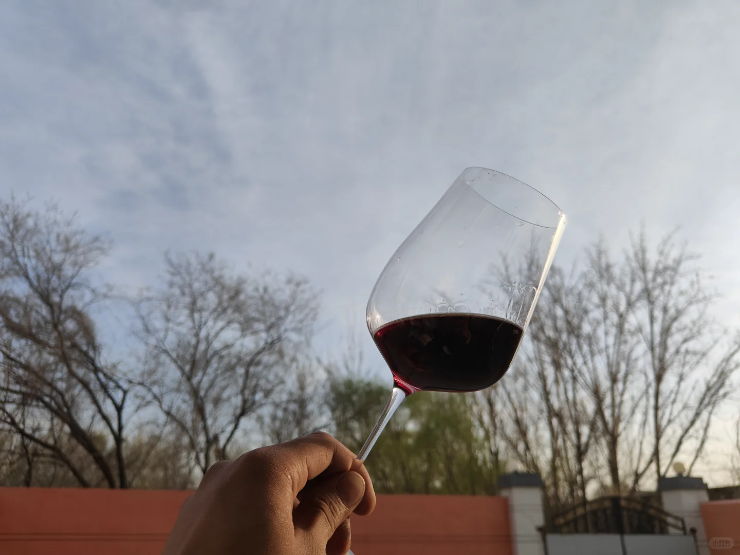 意大利酒王！正品行货，恒温恒湿储存