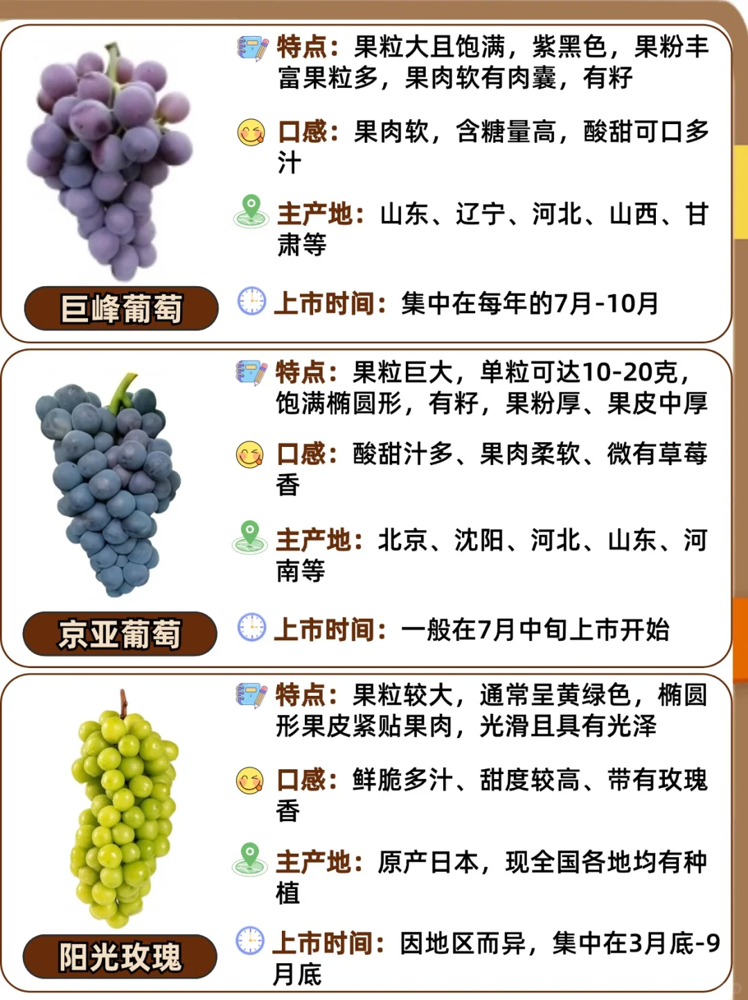 25种常见葡萄品种大全?口感与区别❗️