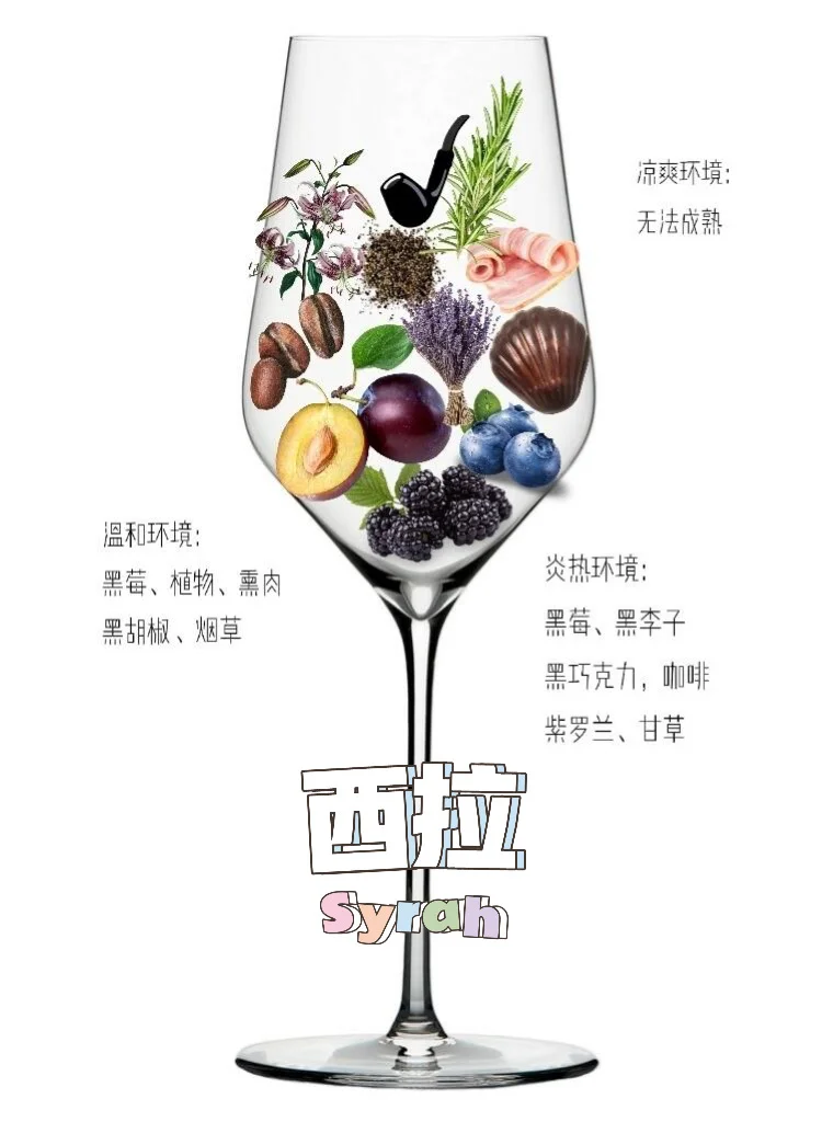吐血整理❗8大酿酒葡萄，一种竟有N种风味？