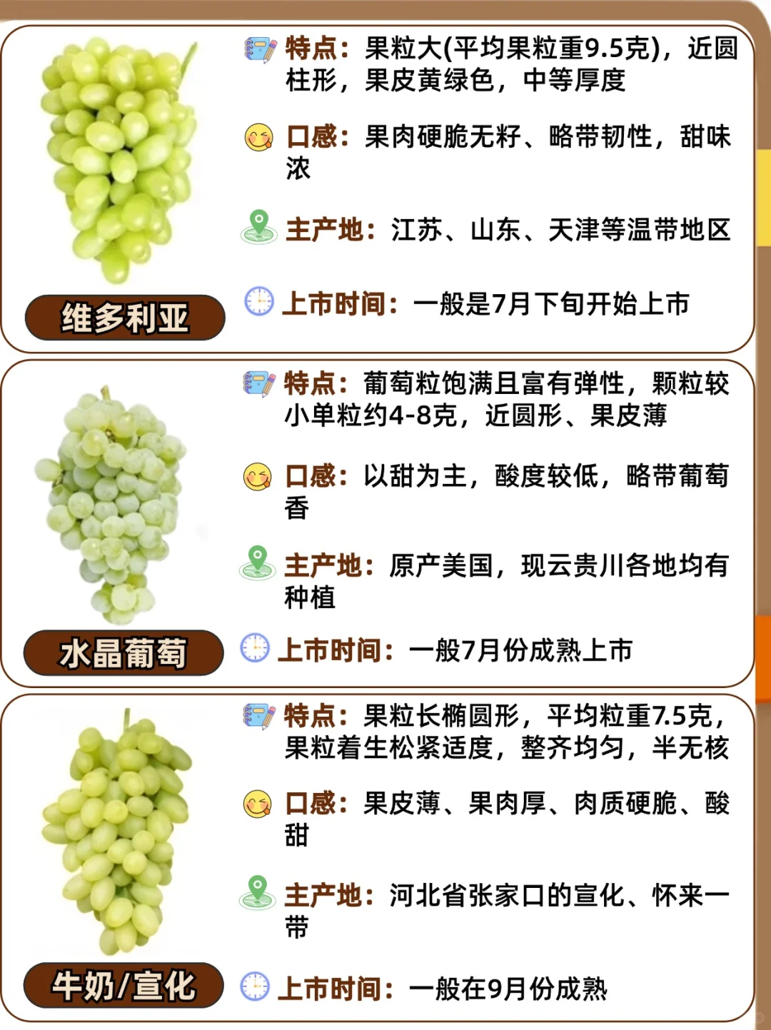 25种常见葡萄品种大全?口感与区别❗️