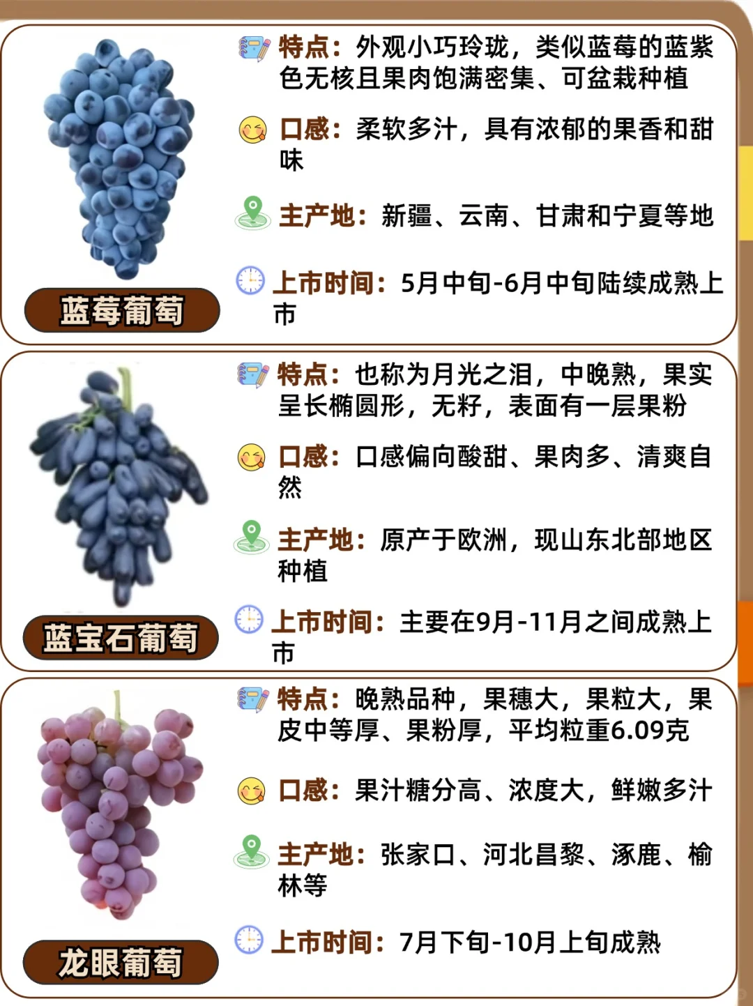 25种常见葡萄品种大全?口感与区别❗️