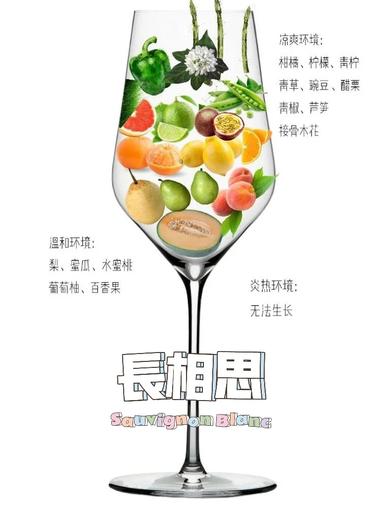 吐血整理❗8大酿酒葡萄，一种竟有N种风味？