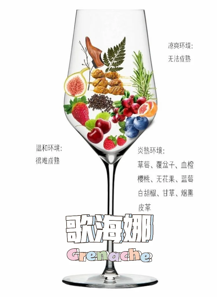 吐血整理❗8大酿酒葡萄，一种竟有N种风味？