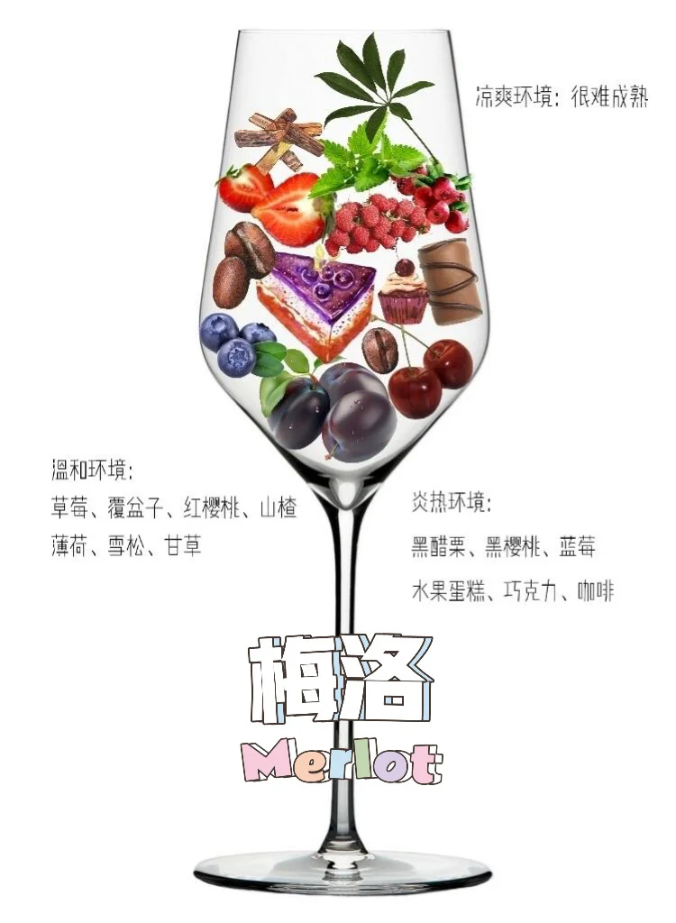 吐血整理❗8大酿酒葡萄，一种竟有N种风味？