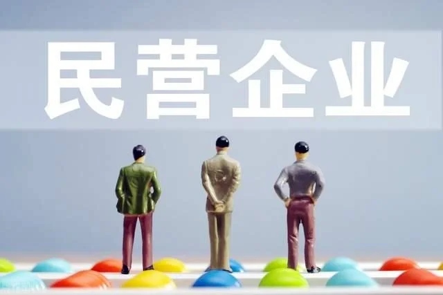 民营企业的出路在哪里？