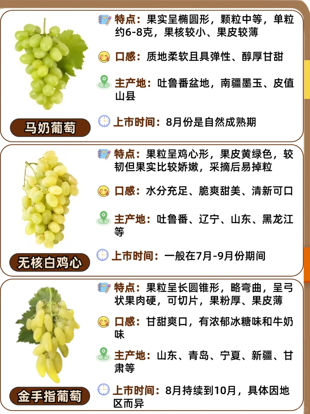 25种常见葡萄品种大全?口感与区别❗️